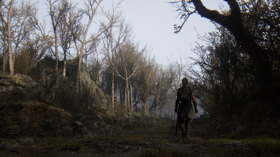 Senua's Saga_ Hellblade II_22.jpg