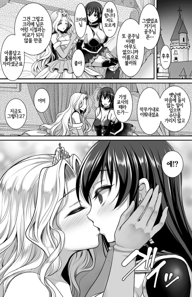 공주가 여기사를 정복하는 만화_3.jpg