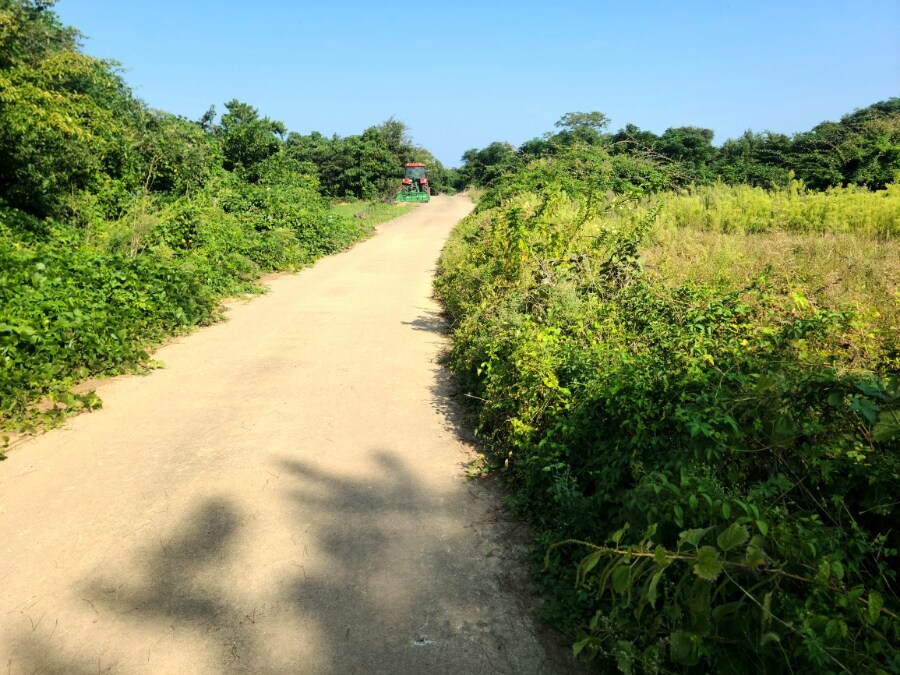 제주 환상 자전거길 234km 도보여행 2일차_15.jpg