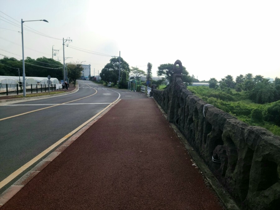 제주 환상 자전거길 234km 도보여행 3일차 -스압주의-_13.jpg