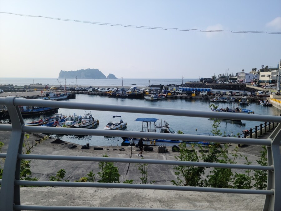 제주 환상 자전거길 234km 도보여행 3일차 -스압주의-_23.jpg