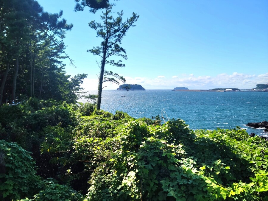 제주 환상 자전거길 234km 도보여행 3일차 -스압주의-_44.jpg