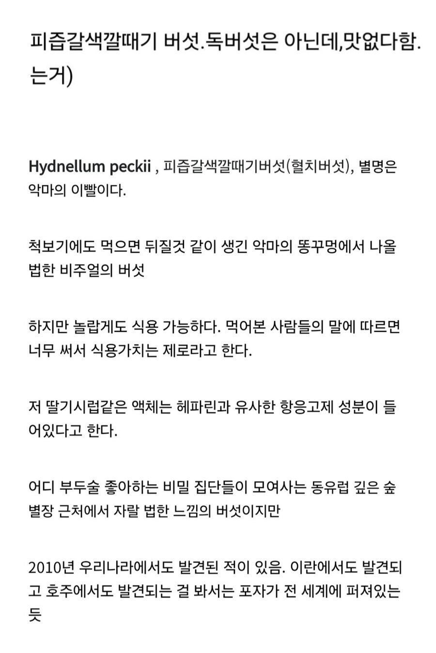 의외로 독버섯이 아닌 버섯.jpg_6.jpg