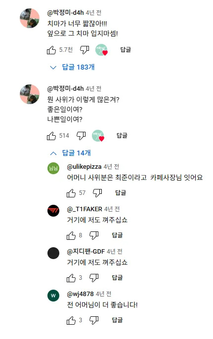 유튜버 영상에 치마가 너무 짧다고 훈수두는 댓글.jpg_2.webp