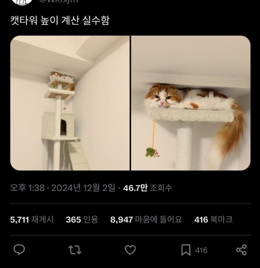 실패지만 실패가 아닌 것.jpg_1.jpg