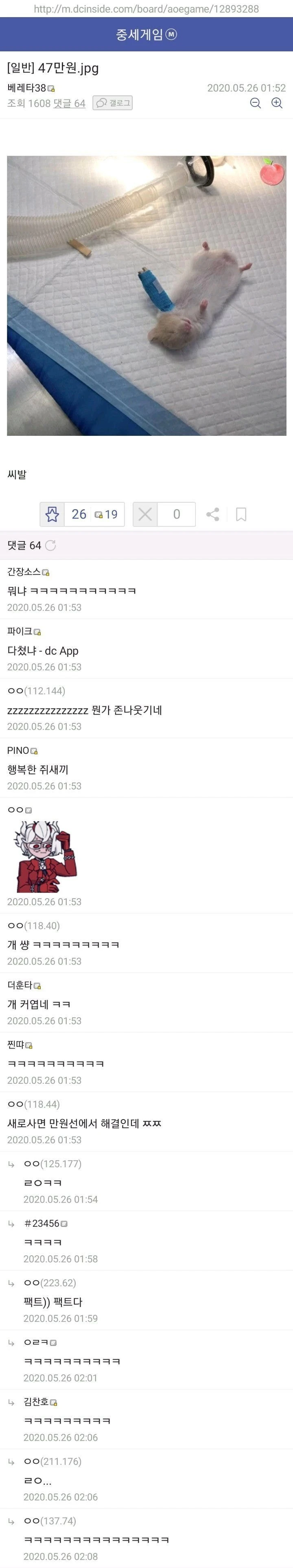 푸딩 병원 진료비 29만원 수술비 47만원_1.webp