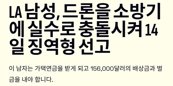 LA대화재 당시 소방비행기에 드론 사고낸 남성의 최후_6.png