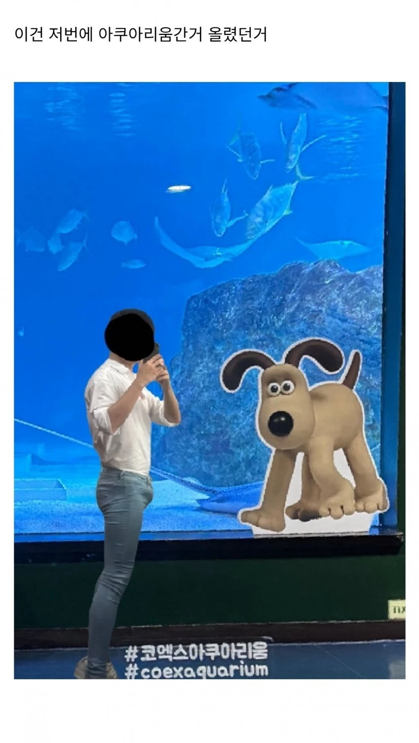 디시 패션갤 념글_2.webp