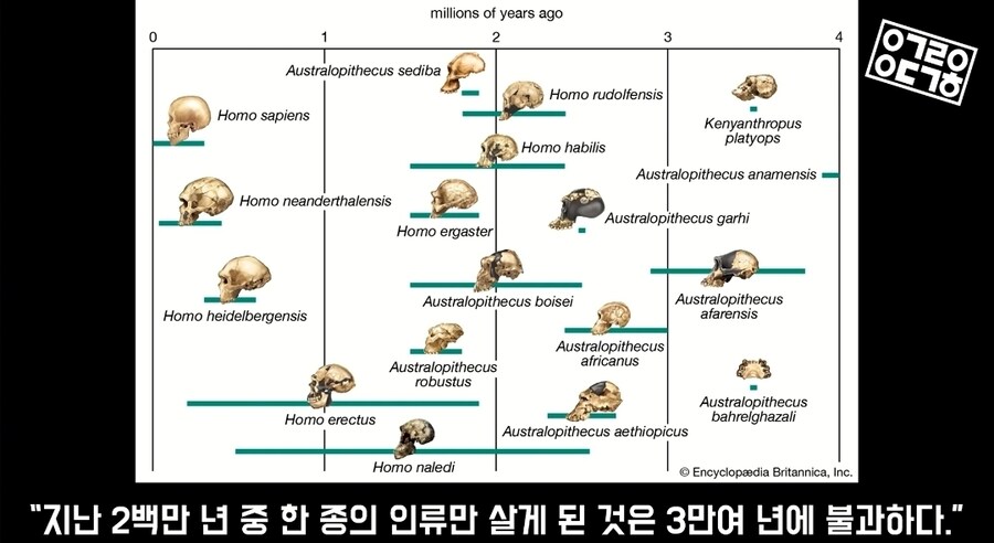 외신) "케데헌, 오늘날 젊은이들에겐 스타워즈같은 작품 일수도"_6.jpg