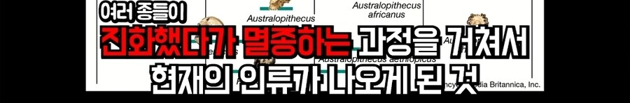 외신) "케데헌, 오늘날 젊은이들에겐 스타워즈같은 작품 일수도"_8.jpg