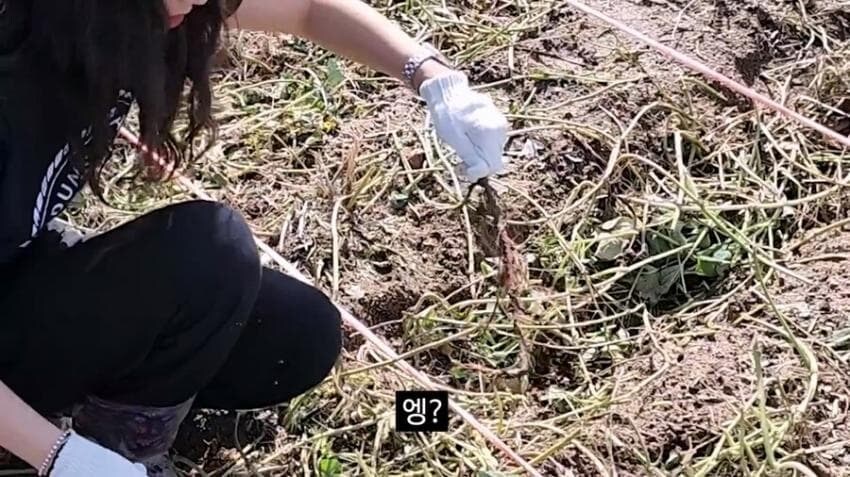 자동사냥중인 충주맨 근황_6.jpg