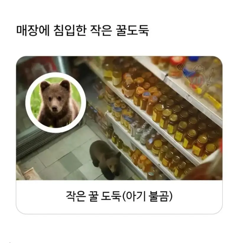 혈당 스파이크 온 불곰_1.webp