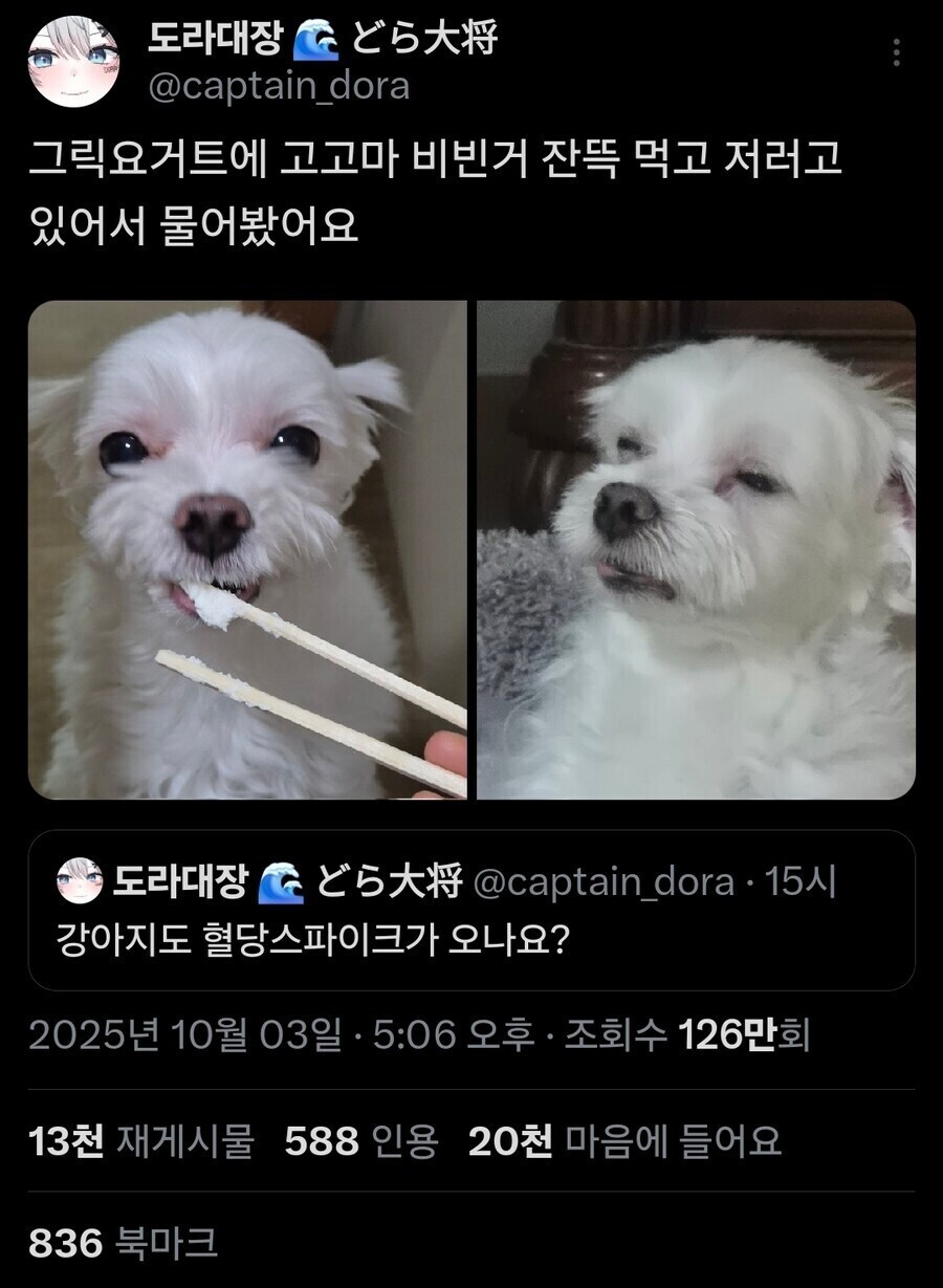 버튜버)혈당스파이크 온 멍멍이_1.jpg
