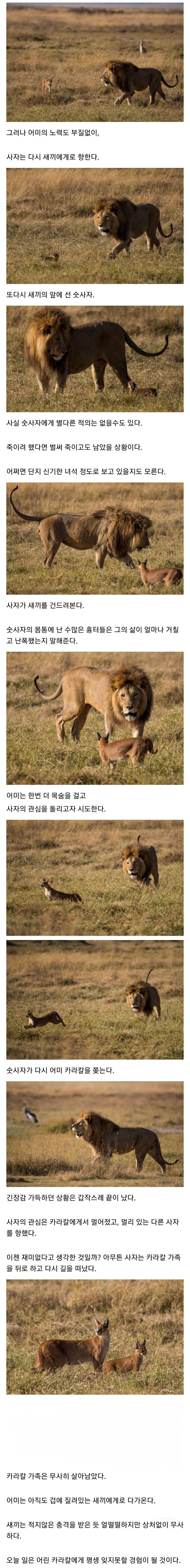 나의 호기심이 누군가에겐 생사의 갈림길_2.jpg