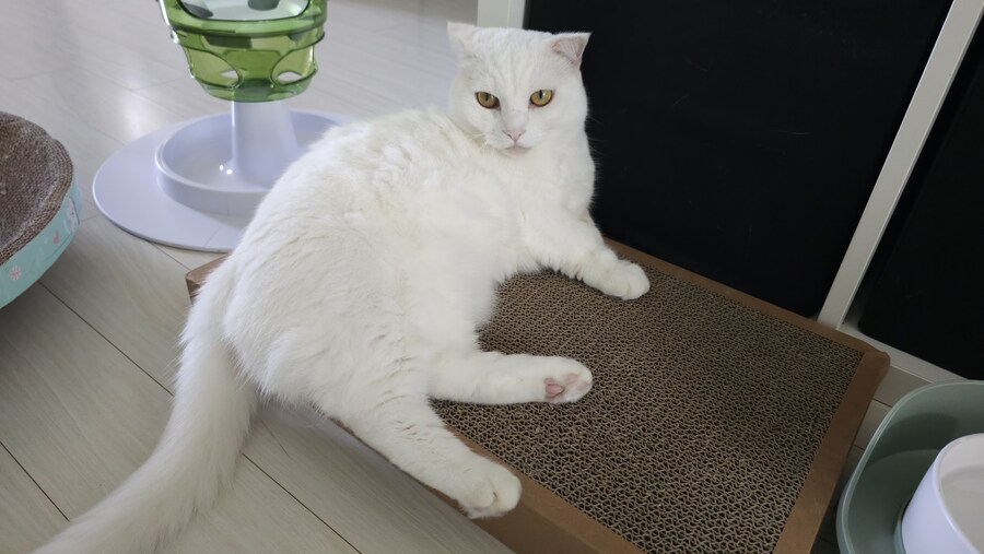 일본여행 마렵다_1.jpg