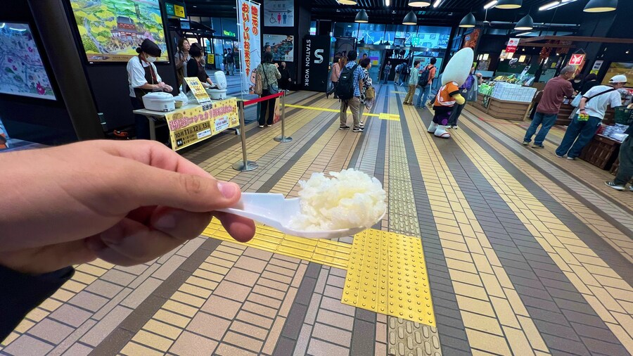 일본 길가에서 받을 수 있는 것_1.jpg