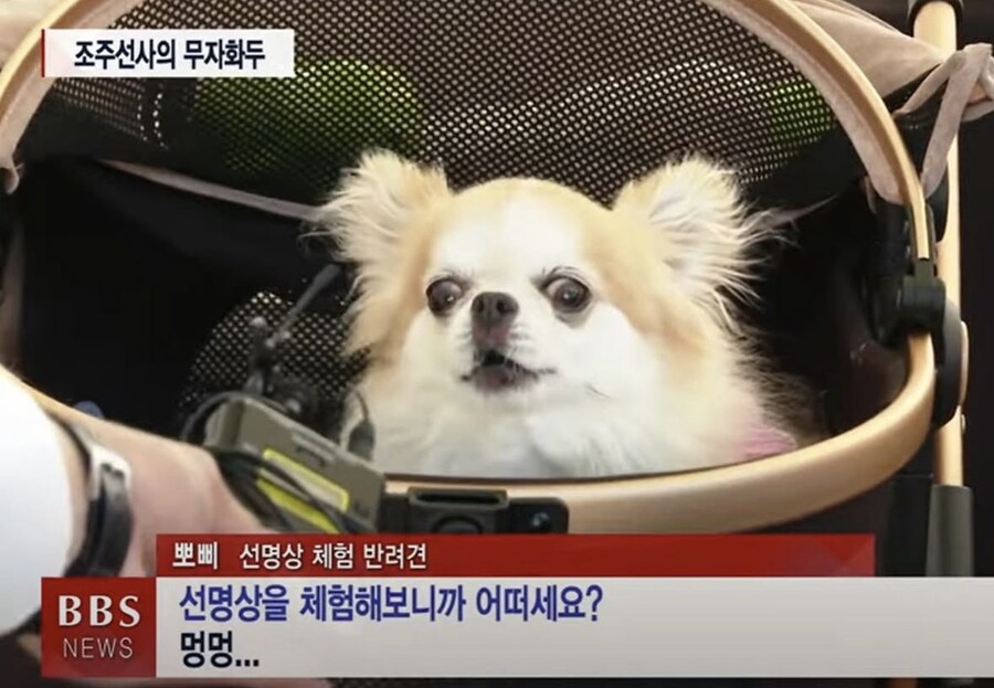 개에게도 불성이 있습니까?_1.jpg