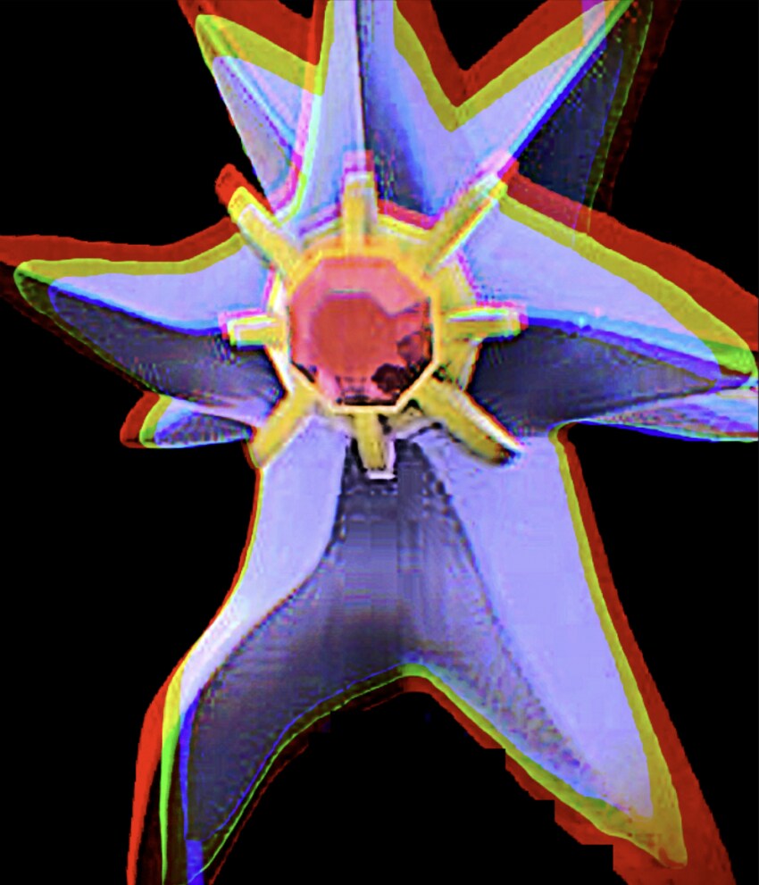 포켓몬 유출/생각보다 까리하게 나와 논란이 없는 애_2.png
