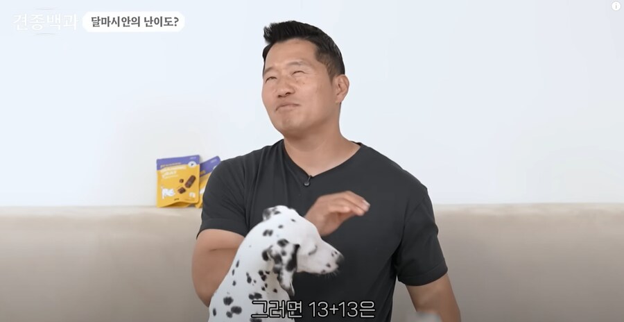 보더콜리보다도 더하다는 견종.JPG_10.png