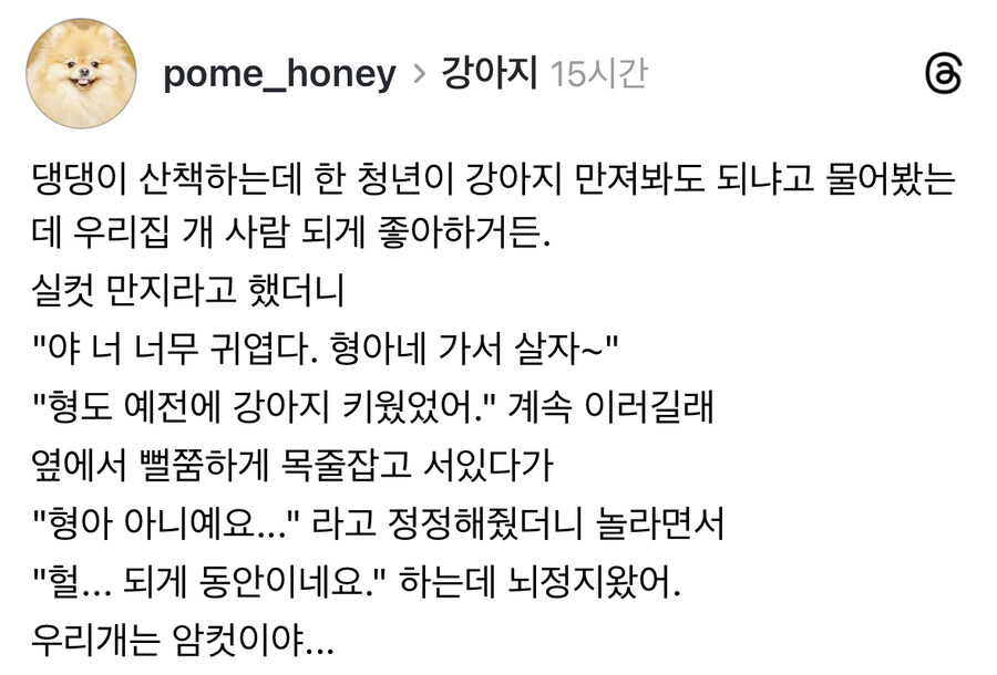 개 좋아하는데 편견없는 사람.jpg_1.jpg
