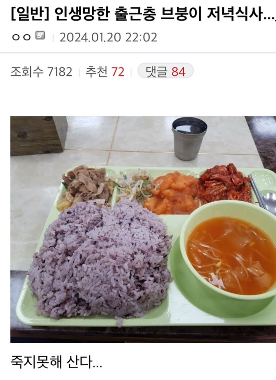 죽지못해 산다는 디씨인_1.jpg
