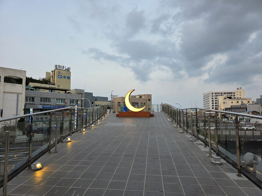 제주도 홧김에 와서 뭘해야할지 몰겠네_4.jpg