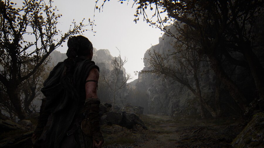 Senua's Saga_ Hellblade II_8.jpg