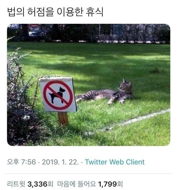 대한민국의 도시공원 및 녹지 등에 관한 법률로는 날 처벌하지 못해!!_1.jpg