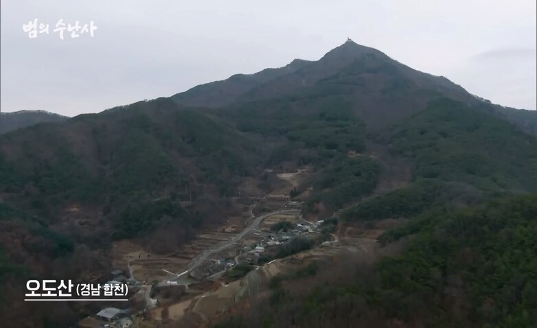 한반도 최후의 표범이 있던 산_1.png