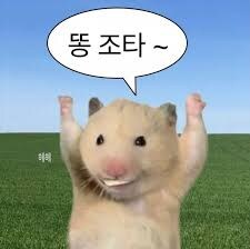 타조 똥_1.jpg