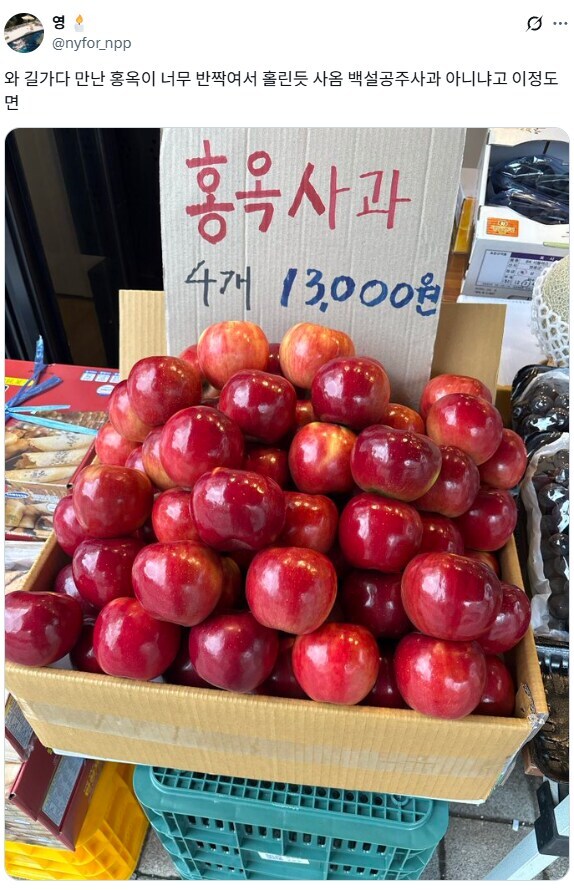 백설공주는 사과를 먹을 수밖에 없었다.jpg_1.jpg