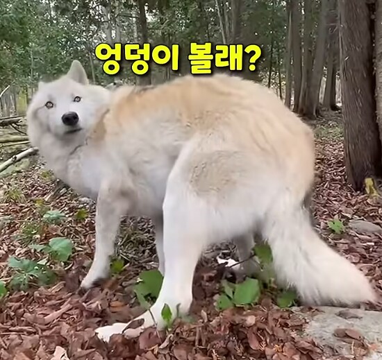 퇴근시켜주세요_1.png