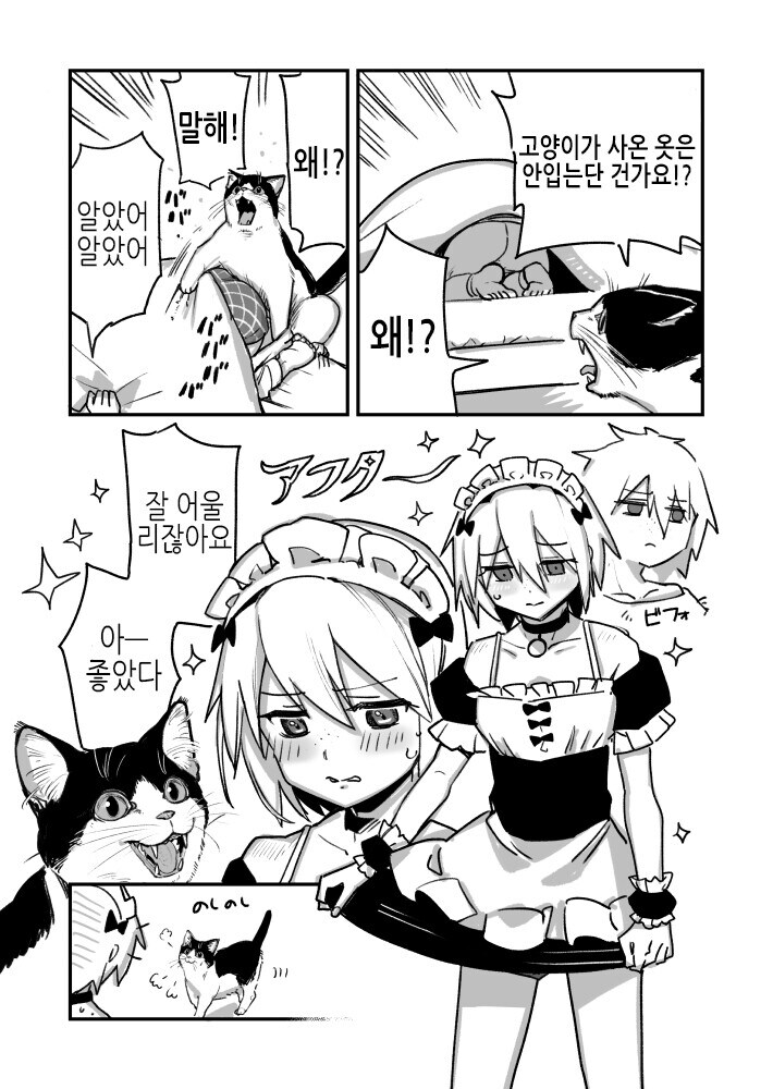 주인옷 사온 고양이_2.jpg