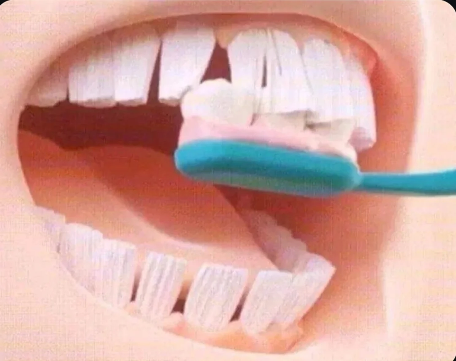 혐)잇솔과 칫빨_2.webp