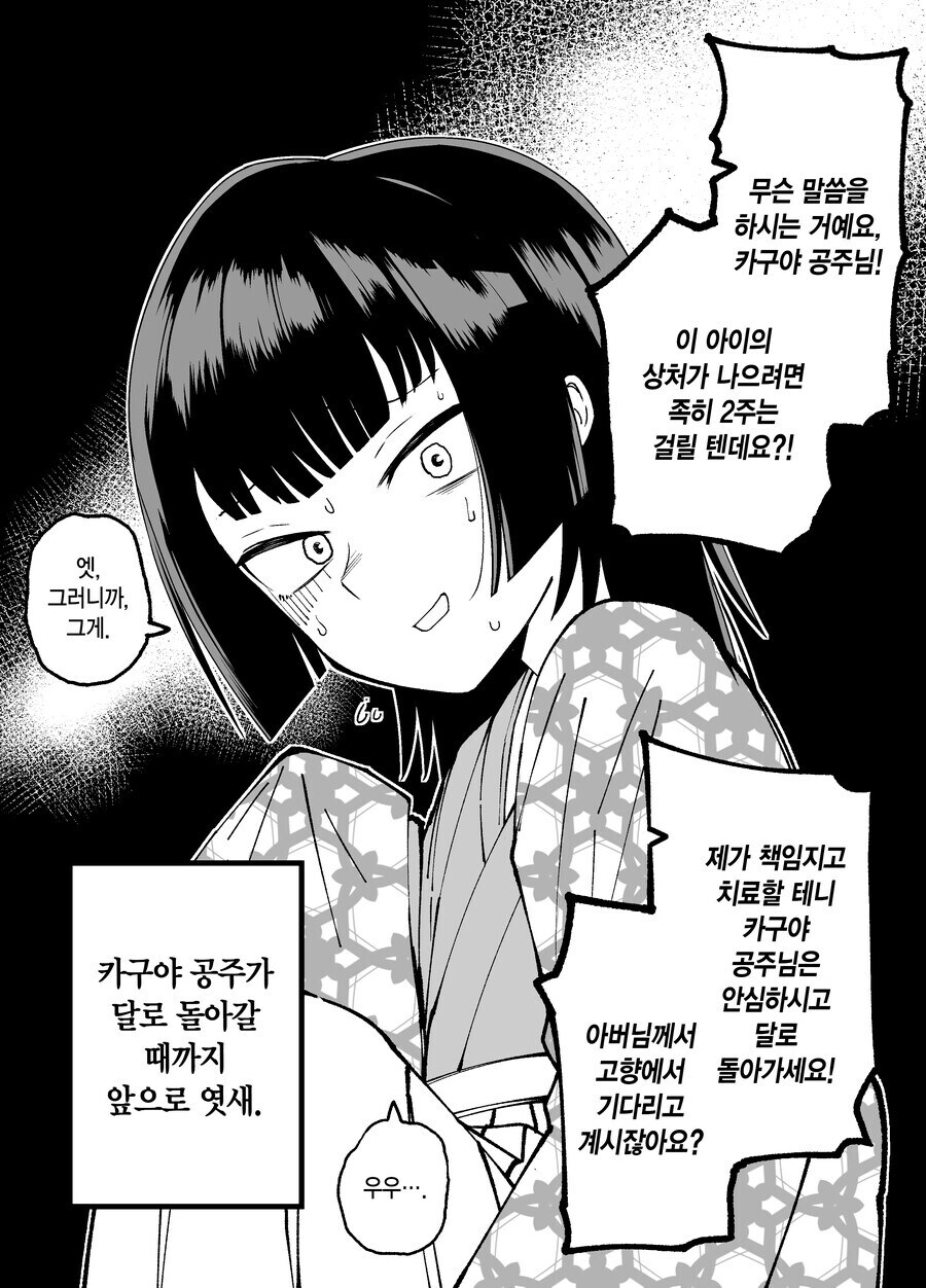 다음화가 나오지 않았던 카구야 공주 만화_20.jpg