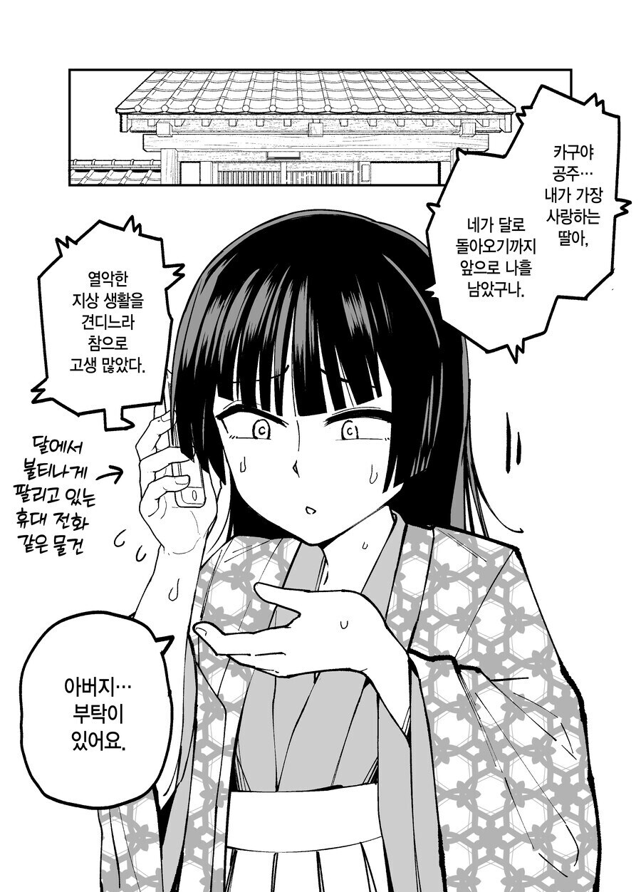 다음화가 나오지 않았던 카구야 공주 만화_25.jpg