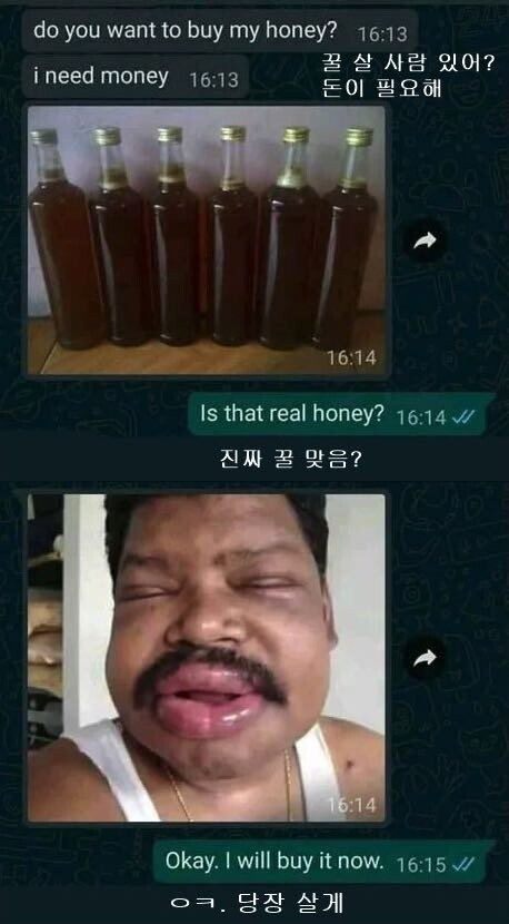 "꿀 살 사람 있어?"_1.webp