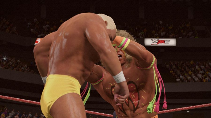 WWE 2K15_17.jpg