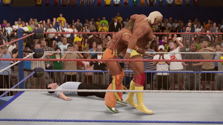WWE 2K15_24.jpg