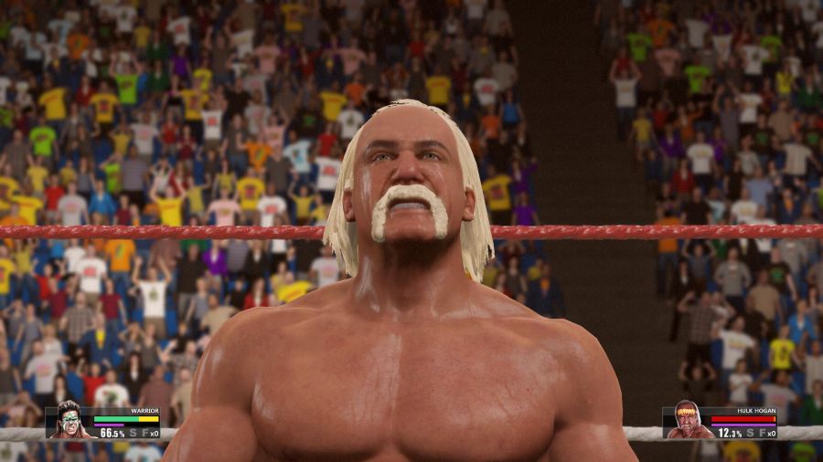 WWE 2K15_26.jpg