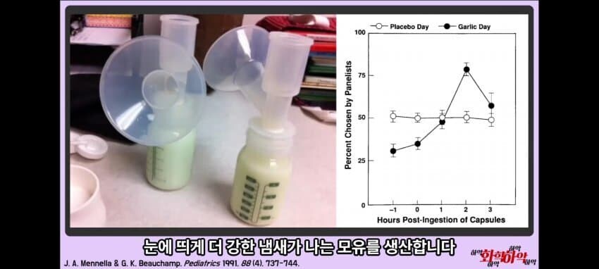 마늘이 모유에 미치는 영향_2.jpg