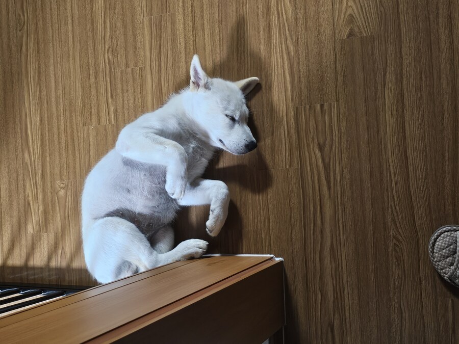 저는 범법자입니다_5.jpg