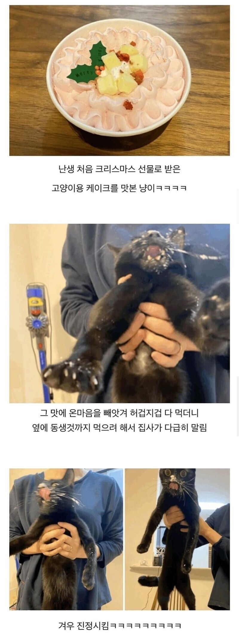 크리스마스 선물 대참사_1.jpg