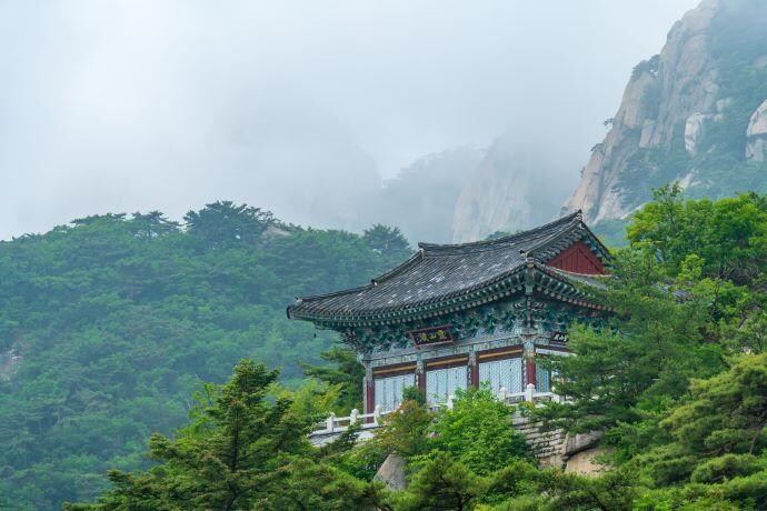야간에 만약 산속을 헤매다 절을 발견하면_1.jpg