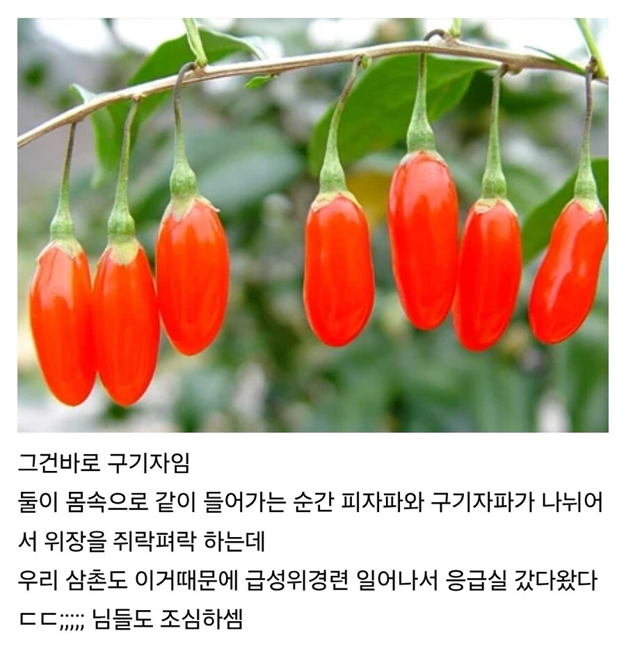 피자 먹을때 같이 먹으면 안되는 음식이 있음_2.jpg