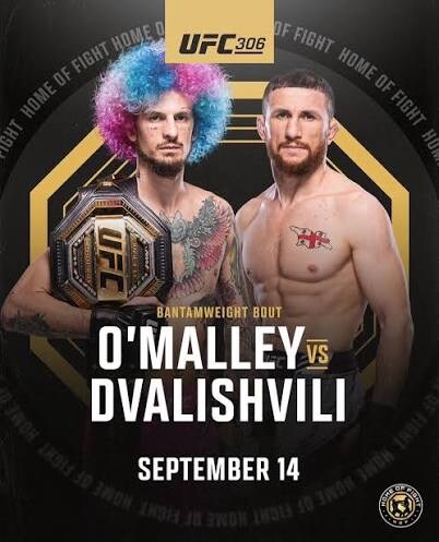 UFC) 현재 전설을 써내려가고있는 밴텀급 챔피언_2.jpg