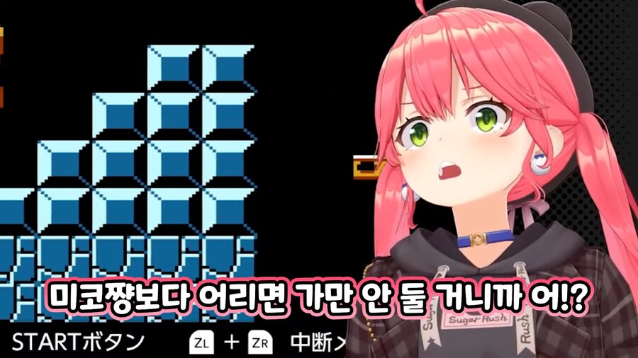 버튜버)"사람은 정곡을 찔리면 나이를 들먹인다"_5.png
