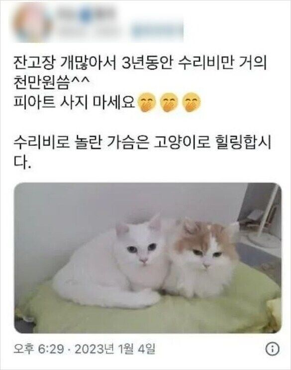 아 그거 내가 해봐서 아는데_3.jpg