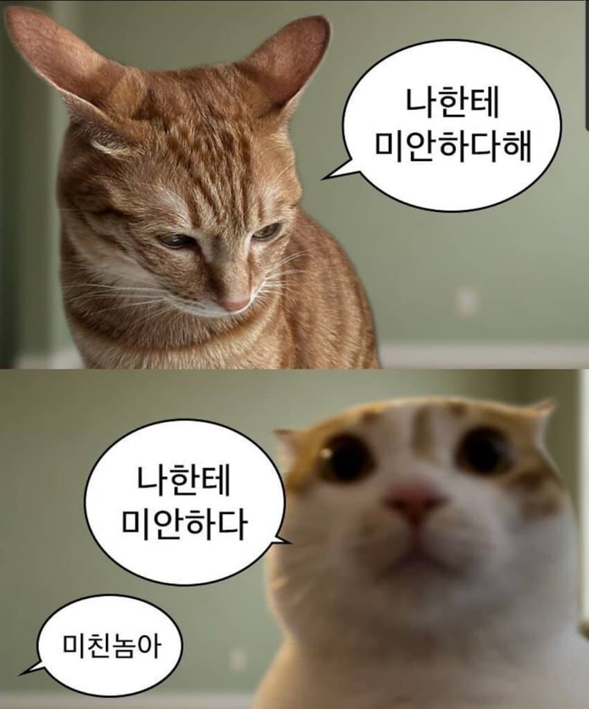 요즘 인생을 싑덕행사 다니려고 사는거같음_1.jpg