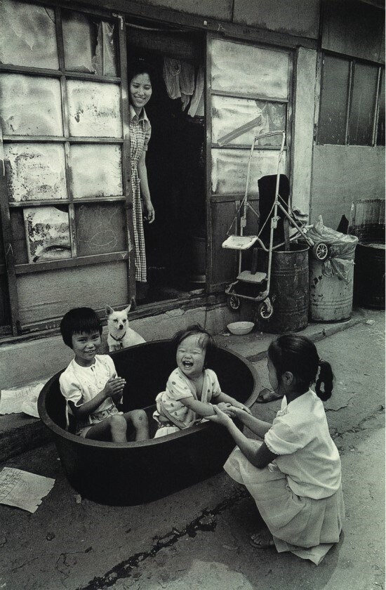 60~70년대 한국의 강아지 사진들.JPG_13.jpg